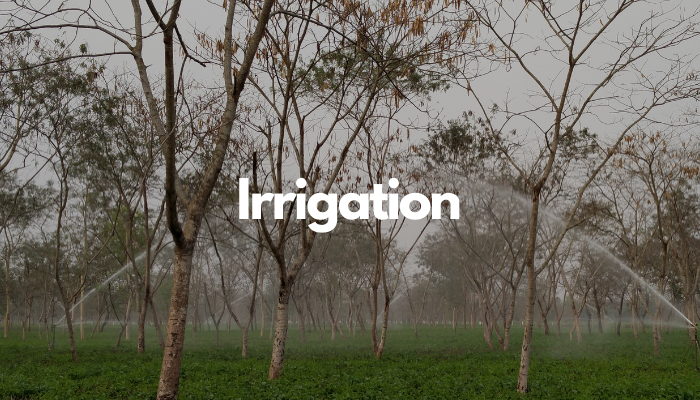 Irrigation